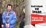 images (30).jpeg