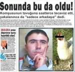 images (42).jpeg