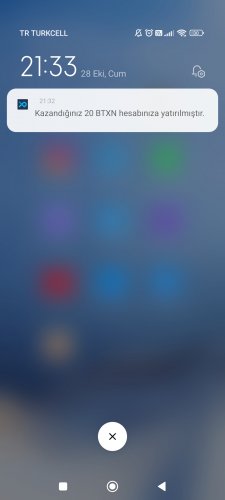 Screenshot_2022-10-28-21-33-57-798_com.miui.home.jpg
