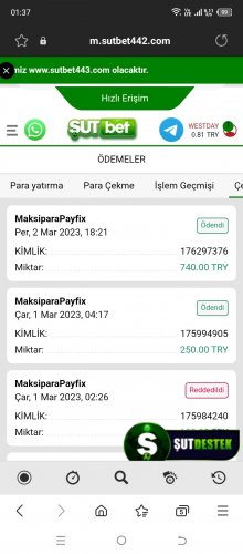 Screenshot_20230303-013738.jpg