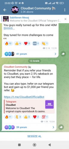 Screenshot_2024-12-21-23-02-33-739_org.telegram.messenger.jpg
