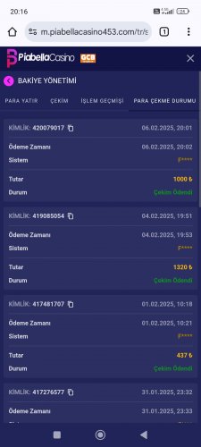 Screenshot_2025-02-06-20-16-35-921_com.android.chrome.jpg