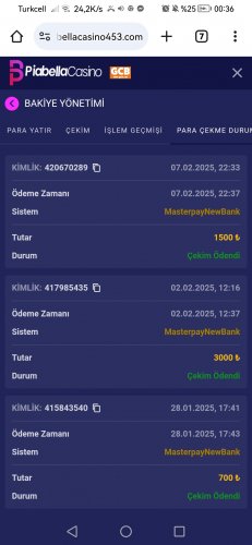 Screenshot_20250208_003600_com.android.chrome.jpg