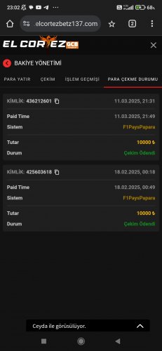 Screenshot_2025-03-11-23-02-53-474_com.android.chrome.jpg