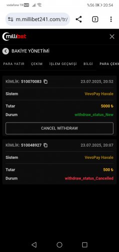 Screenshot_20250723_205436_com.android.chrome.jpg