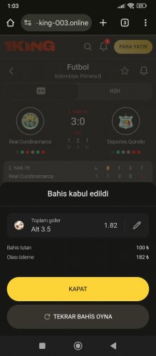 Screenshot_2025-09-20-01-03-38-804_com.android.chrome.jpg