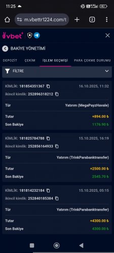 Screenshot_2025-10-17-11-25-01-042_com.android.chrome.jpg