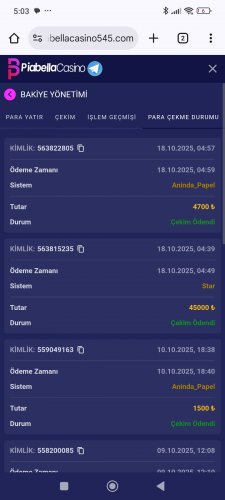 Screenshot_2025-10-18-05-03-18-635_com.android.chrome.jpg
