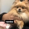 canbo19