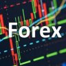 Forextekaybedenadam