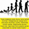 Hayatadair