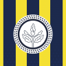 olmeca