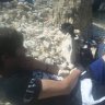 eray2009