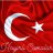 Tilsim3505
