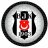 avşin